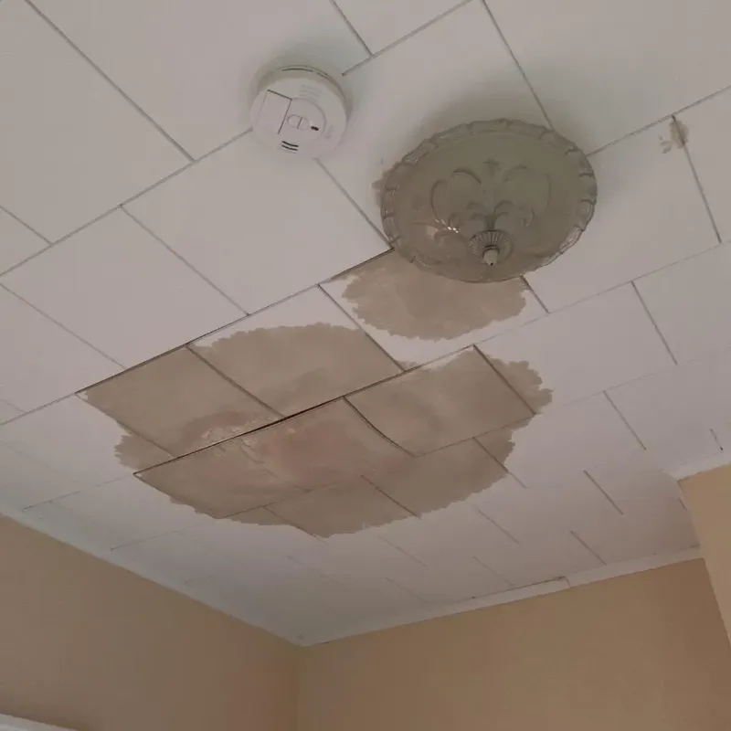 Ceiling Water Damage Repair in Carter Lake, IA