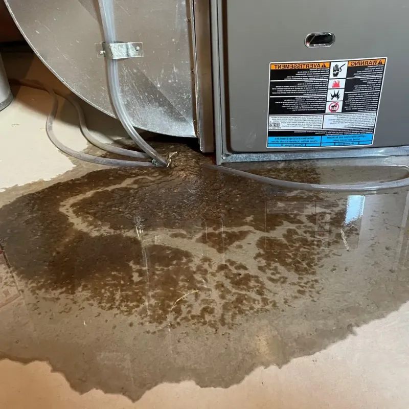 Pipe Burst and Leak Restoration in Carter Lake, IA