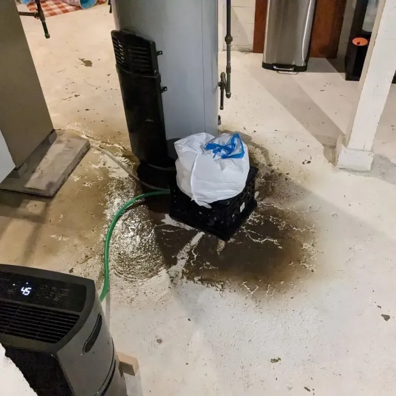 Sewage Backup Cleanup Service in Carter Lake, IA